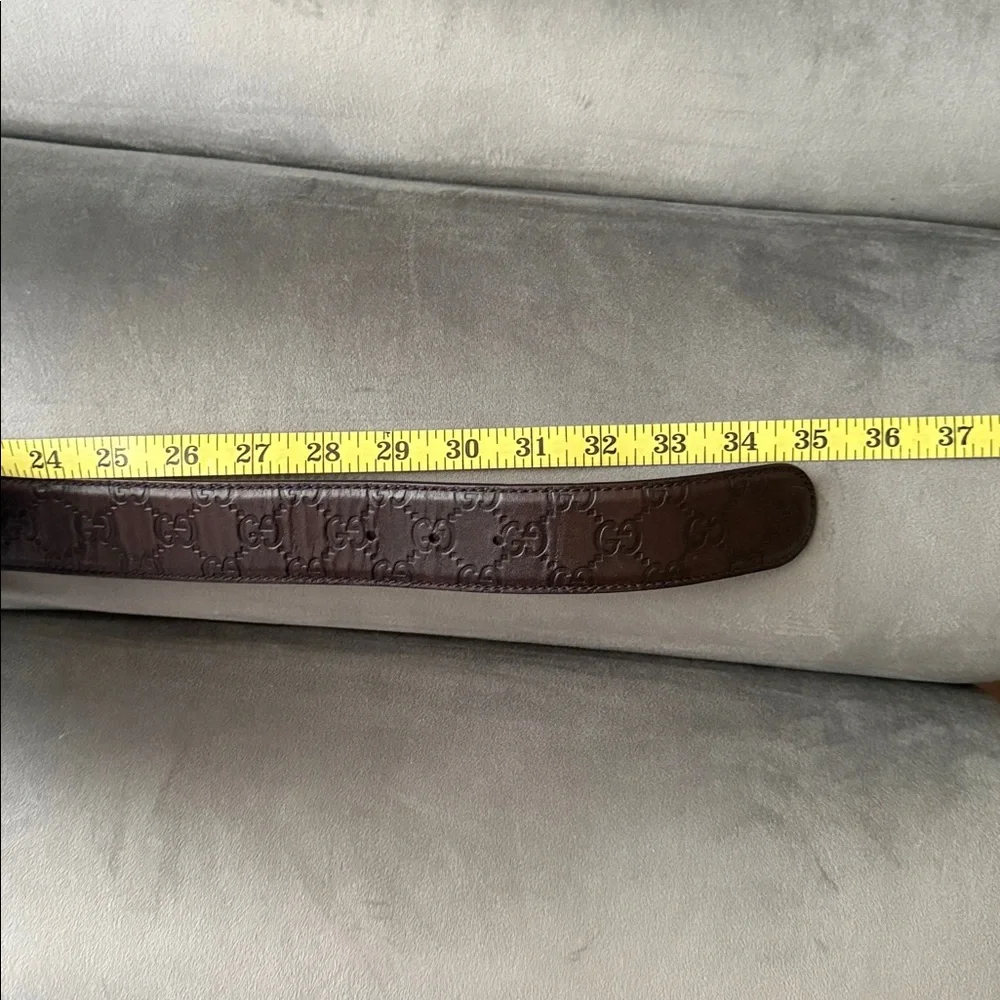Gucci Dark Brown Belt with Gold Emblem - Picture 5 of 6